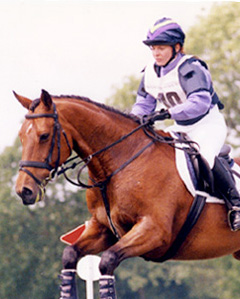 Woman on Horse in showing jumping competition